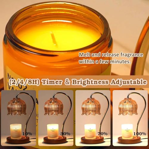 Funistree Flower Candle Warmer Lamp with Timer, Dimmable Candle Lamp Warmer, Mothers Day Birthday Gift for Women Her Mom, ...