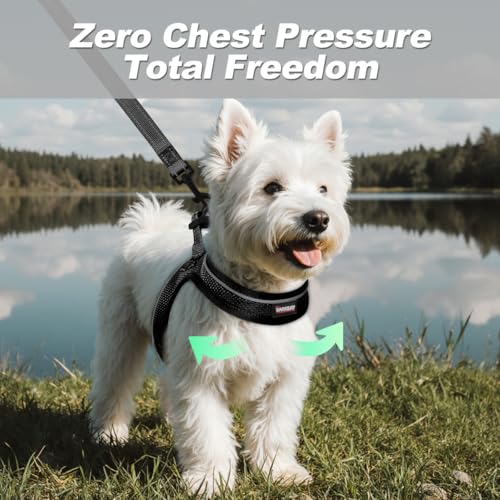 Dog Harness and Leash Set,Step in Small Sized Dog Harness,Soft Mesh,No-Chock,Reflective Adjustable,Secure with Hook & Loop...