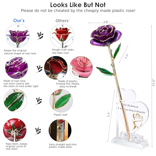Sinvitron Gold Dipped Infinity Rose Forever Flower Decor, Resin Preserved Real Rose Birthday Gift for Women, Anniversary P...