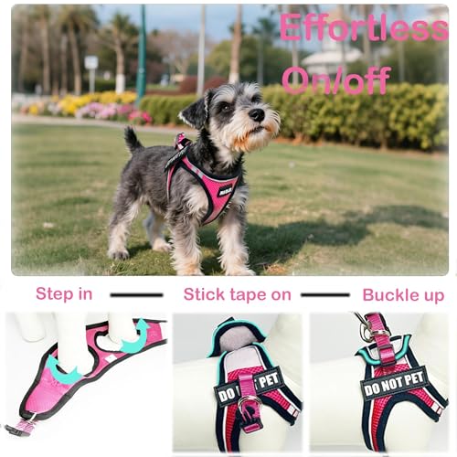 Service Dog Harness Vest Set Emotional Support Small Size Dog- 6PCS Removable Patches -Mesh Puppy Harness and Leash Set Tr...