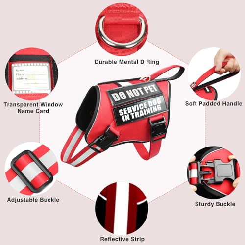 Service Dog Harness and Leash Set, Training Dog Vest with 10 Dog Patches, Emotional Support Therapy Dog Vest Harness for S...