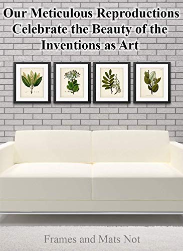 Set of 4 Sage Botanical Wall Art Prints 8x10 Unframed – Vintage Green Plant Prints for Bathroom, Kitchen, or Living Room D...