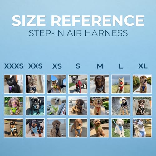 Best Pet Supplies Voyager Step-in Air All Weather Mesh Harness and Reflective Dog 5ft Leash Combo with Neoprene Handle, fo...