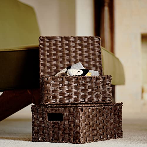 GRANNY SAYS Wicker Baskets with Lids, Set of 3 Decorative Storage Boxes, Woven Basket for Organizing, Storage and Organize...