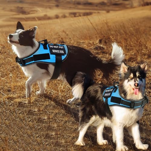No Pull Dog Harness Small Medium Sized Dog, Service Dog Harness and Leash Set with 4 Patches, Adjustable Easy Walk Dogs Ha...