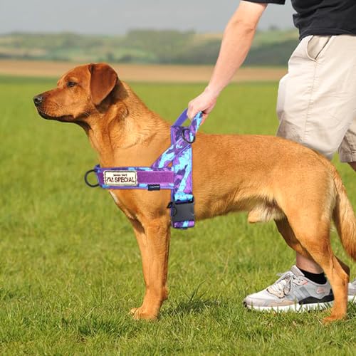 Annchwool No Pull Dog Harness with Soft Padded Handle,Escape Proof and Quick Fit to Adjust Dog Harness,Easy for Training W...