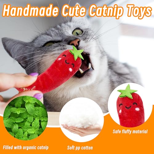 Seyezo Catnip Toys for Indoor Cats, 5 Pack Cat Toys for Cats, Fluffy Catnip Toys for Chewing Playing, Interactive Kitten T...