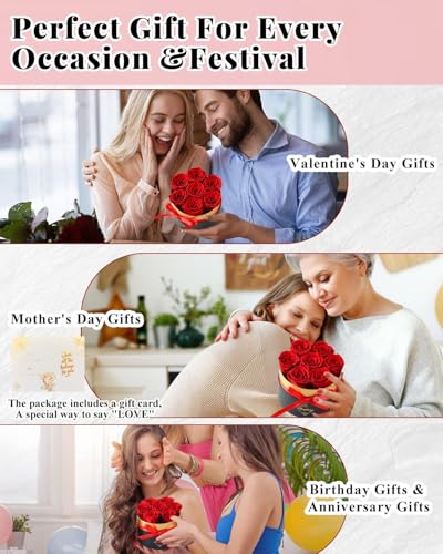 Changshunqi Forever Flowers Preserved Roses in a Box - 7 Preserved Flowers in a Box Last 2-3 Years, Rose Forever Birthday ...