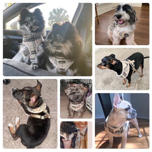 SCENEREAL Puppy Dog Harness with Leash Set for Small Medium Dogs, Soft Mesh Pet Harnesses and Leash, No Chock Plaid No Pul...