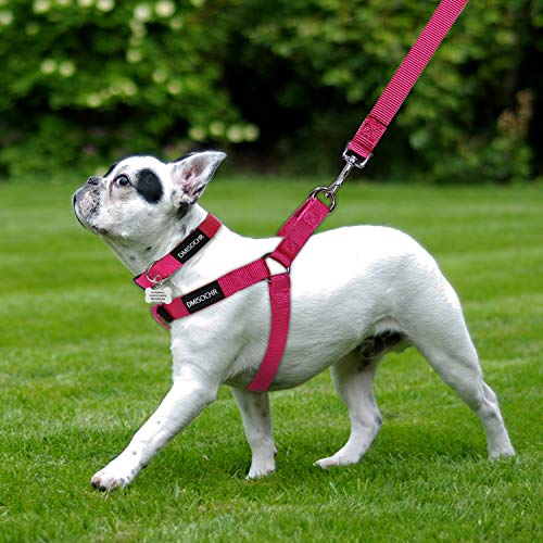 No Pull Dog Harness - Adjustable Step-in Harness & Leash Set for Small, Medium, Large Dogs - Escape Proof Soft Pet Harness...