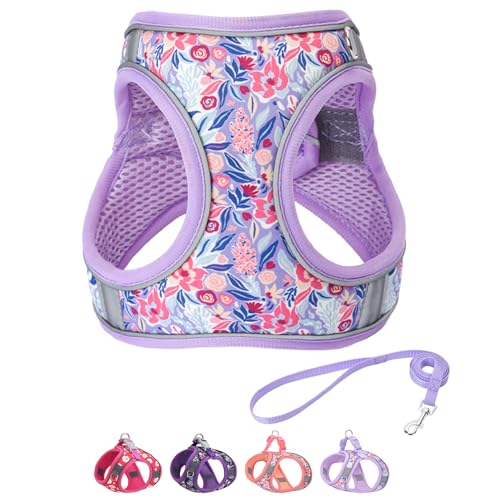 Step in Dog Harness and Leash Set, Flower Adjustable Easy Walk Puppy Harnesses, Soft Mesh Pet Vest Harness Small Size Dog ...