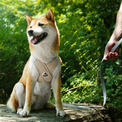 Patas Lague Dog Harness with Leash Set Adjustable Soft Padded Step-in Dog Vest No Choke No Pull Reflective for Small Mediu...