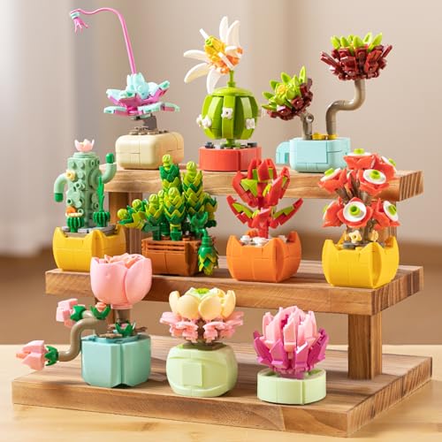 Sawaruita 10 Pack Succulent Mini Plant Building Blocks Set for Adults - 990 Pcs Flower Botanical Collection Home Office De...