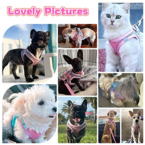 PETPUBGNZS Soft Small Dog Harness and Leash Set Mesh Puppy Harnesses Leash Easy Walk Dog Harness Vest Adjustable Reflectiv...