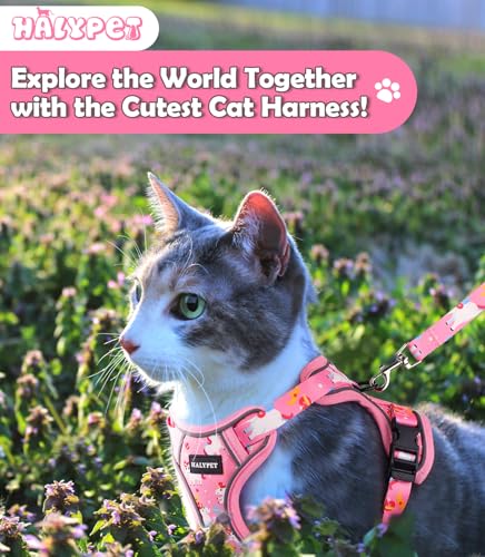 Halypet Cat Harness and Leash Set[MAX Safety 4th-Gen] Cute Escape Proof Vest Harness for Girl&Boy Cat Walking, Comfortable...