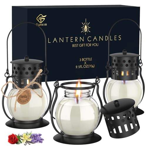 Scented Candles for Home, 3 Pack Retro Lantern Aromatherapy Candles for Home Scented, Lavender Candles Set, Soy Jar Candle...