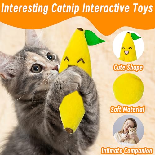 Seyezo Catnip Toys for Indoor Cats, 5 Pack Cat Toys for Cats, Fluffy Catnip Toys for Chewing Playing, Interactive Kitten T...
