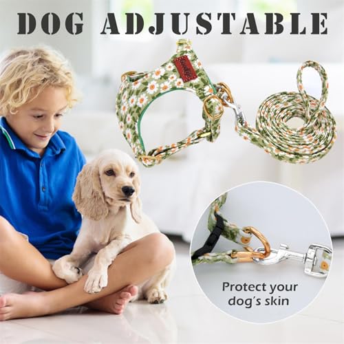 OaaXbbECco No Pull Floral Pattern Puppy Harness,Soft Adjustable Dog Harness Vest and Dog Leash Set No Choke Escape Proof (...