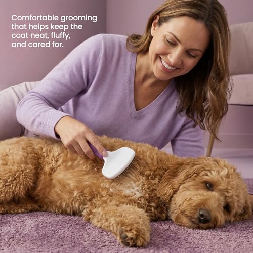 Poodle Pet Slicker Brush - For Dogs, Cats, Rabbits - Matted/Loose Fur, Knots - Suitable for Doodle/Goldendoodle Grooming a...