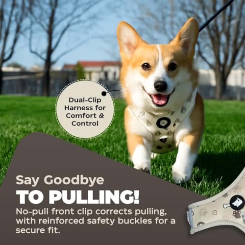 Haminway No-Pull Dog Harness for Medium Dogs – Reflective, Breathable Vest with Adjustable Chest & Neck Straps – Easy to W...