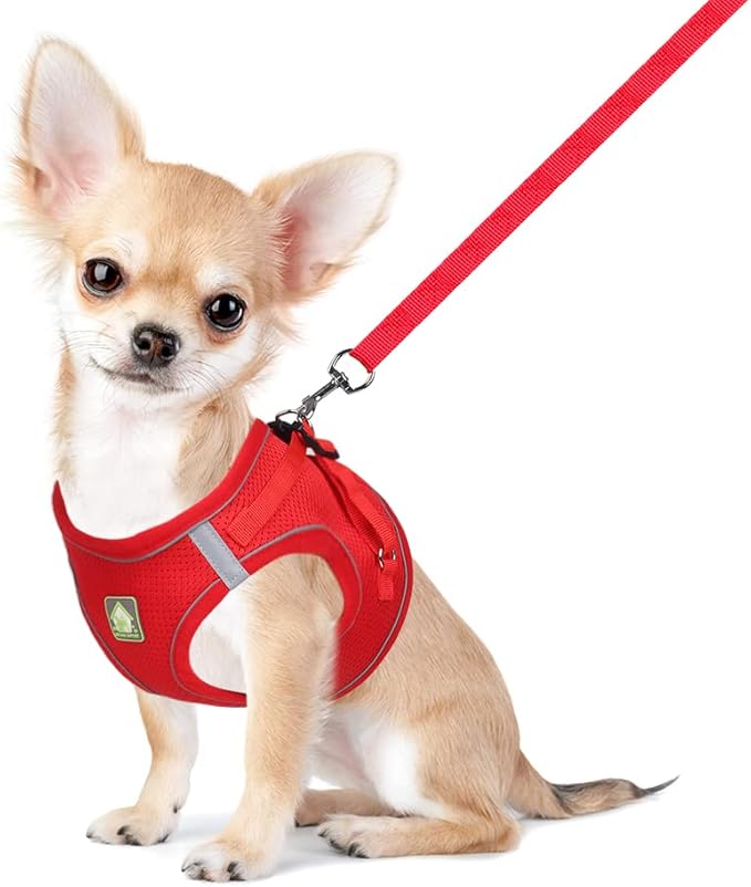 FEimaX Dog Harness and Leash Set, No Pull Breathable Soft Mesh Puppy Vest Harness Reflective Adjustable Pet Harnesses for ...