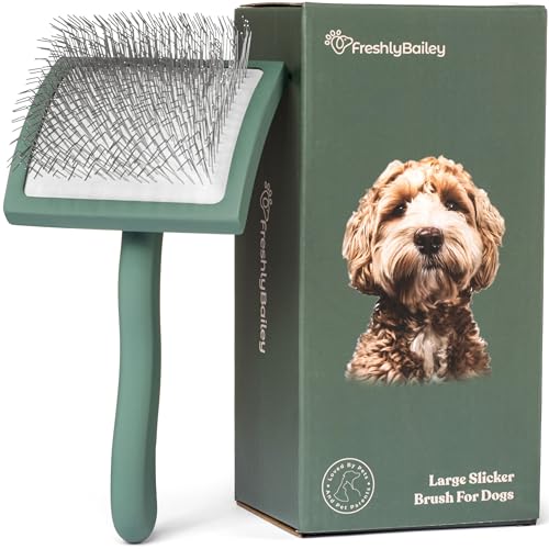 Freshly Bailey Doodle Brush for Goldendoodle, Poodle, and Labradoodle Coats - Best Slicker for Dogs With Wavy & Curly Hair...