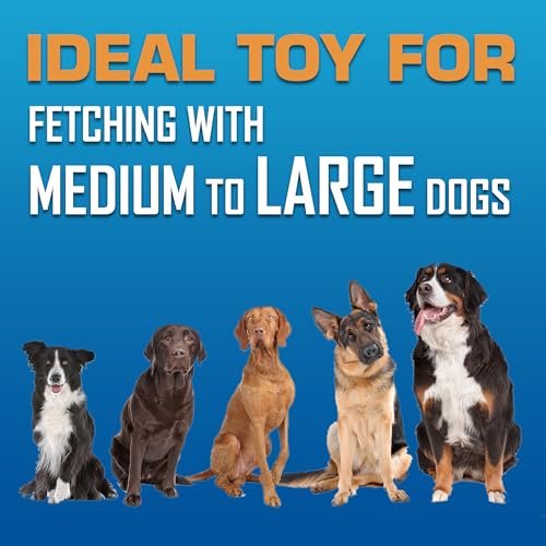 Nerf Dog Tire Flyer Dog Toy Gift Set, 10 Inch Flying Disc Dog Fetch Toys, Rubber Dog Toy for Medium Dogs and Large Dogs, R...