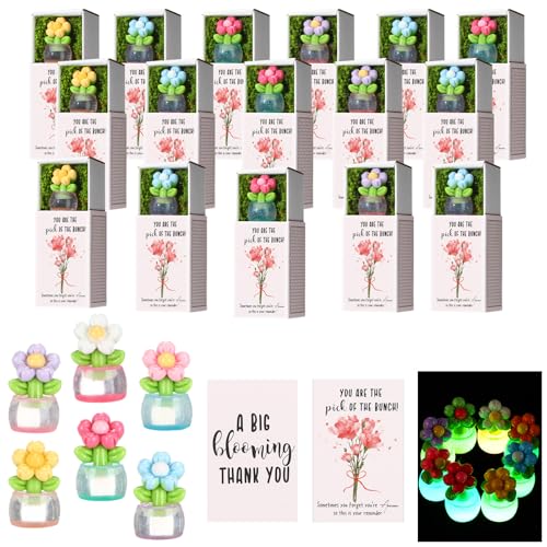 Wonderjune 36 Sets Employee Appreciation Gift Luminous Flowerpot Bulk Emotional Support Gift Box with Inspirational Card M...
