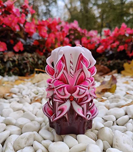 Handmade Carved Candle - Surprise Gift for Her - Decor Birthday Halloween Thanksgiving Christmas - Spiritual Living Room H...