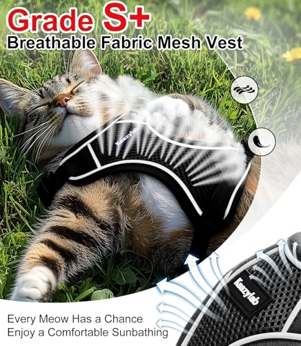 Cat Harness and Leash for Walking Escape Proof Soft Adjustable Cat Leash Breathable Comfortable Vest Easy to Wear Kitten H...