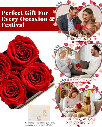Changshunqi Forever Flowers, Preserved Roses in a Box, Eternal Rose Flowers for Delivery, Forever Preserved Roses Gifts fo...