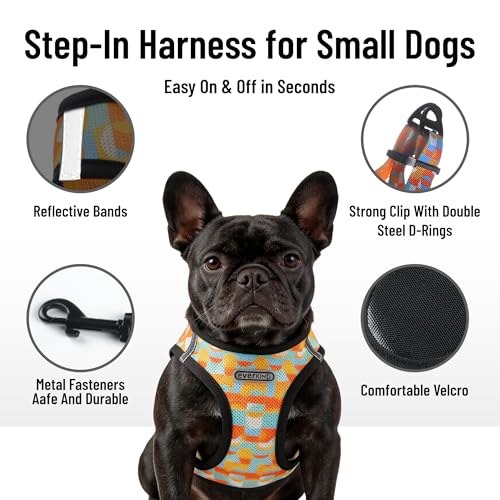 EVERKING Breathable Mesh No-Pull Dog Harness & Leash Set for Small Dogs, Reflective Trim for Safety – Comfortable Vest Des...