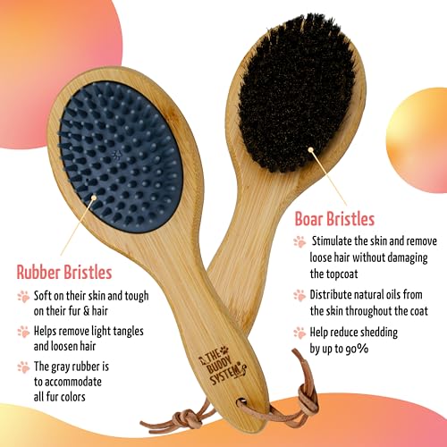 The Buddy System Combo Bristle Pet Brush, 2-in-1 Brush, Durable Rubber Side and Soft Boar Bristle Side - All Pets and Coat...