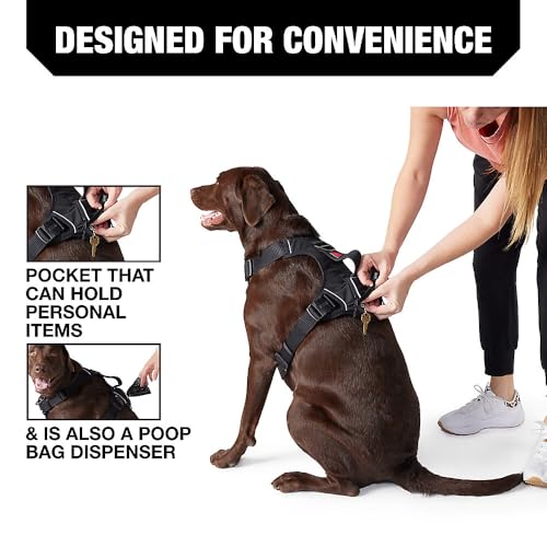 KONG Ultra Durable Waste Bag Harness (Medium, Black)