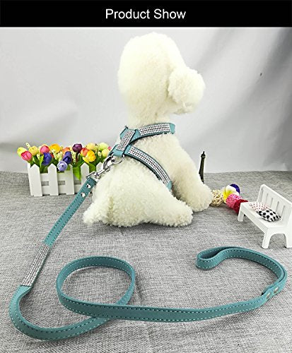 Newtensina Fashion Puppy Harness with Diamantes and Lead Cute Girl Bling Dog Harness with Bling Leash for Small Dogs - Blu...