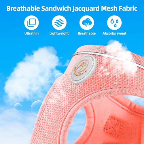 HIHANHAN Soft Mesh Dog Harness and Leash Set, No Pull Puppy Harness and Leash Set, Reflective Step in Harness for Small Me...