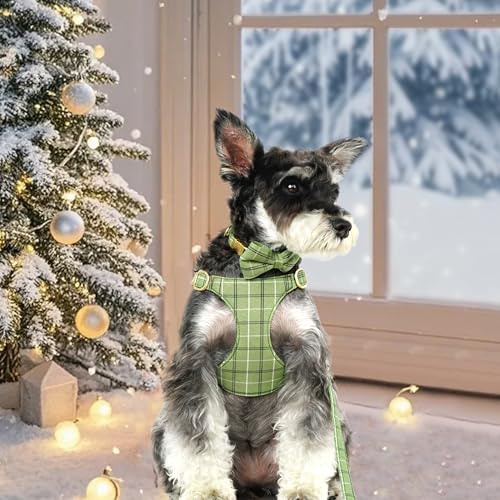 Beirui Cute Extra Small Dog Harness Collar and Leash Set with Bowtie, Soft Adjustable Plaid Puppy Harness for Small Sized ...
