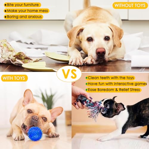 Aipper Dog Toys 25 Pack for Fun and Teeth Cleaning, Puppy Chew Toys Pack with Squeak Plush Toy,Squeaky Toy Balls,Tug of Wa...