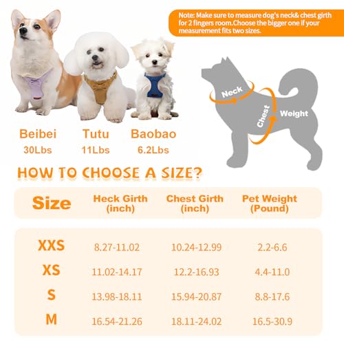 Tewiwap No Pull Small Dog Harness and Leash Set, Adjustable Puppy Harness for Extra Small XS XXS Girl Dogs, Soft Suede No ...