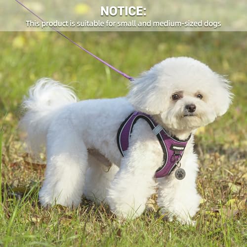 Dog Harness and Leash Set, Dog Harness for Dogs No Pull, No-Chock Step-in Reflective Breathable Lightweight Easy Walk Vest...