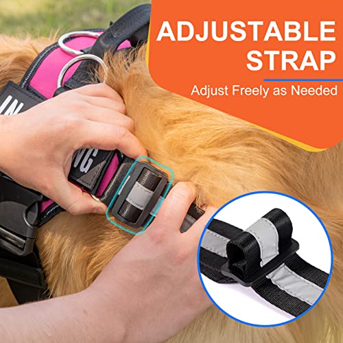 Essential Dog Harness, No Pull Pet Harness with 3 Side Rings for Leash Placement, No Choke, Reflective, Adjustable Pet Ves...