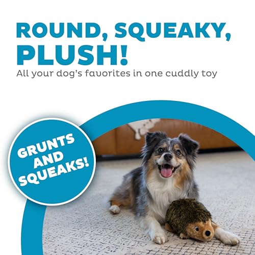 Outward Hound Hedgehogz Stuffed Dog Toy – Soft Plush Hedgehog, Grunts & Squeaks, Medium, 9" x 5" x 6.5"