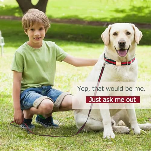 Stylish and Elegant Dog Collar,Adjustable Metal Belt Buckle, Durable High Density Fabric for Comfortable Pet Dog Collar an...