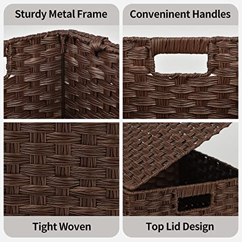 GRANNY SAYS Wicker Baskets with Lids, Set of 3 Decorative Storage Boxes, Woven Basket for Organizing, Storage and Organize...