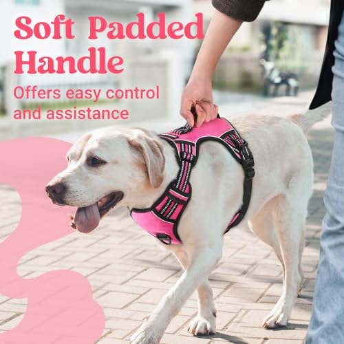 rabbitgoo Dog Harness Small Sized Dog, No Pull Pet Harness with Soft Padded Handle, Adjustable Reflective Vest with 3 Buck...