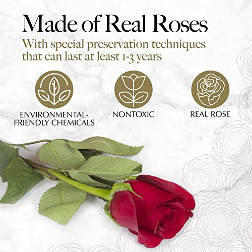 GLAMOUR BOUTIQUE 16 Flower Forever Heart Shape Box, Eternal Preserved Roses Gift for Her, Lasting Flowers, Romantic Floral...