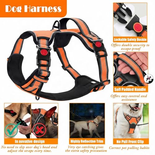 LOBEVE No Pull Dog Harness, Collar & Leash Set | Includes Dog Seat Belt, Collapsible Bowls & Poop Bag Dispenser. Ideal for...