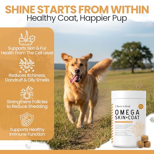 Omega 3 Fish Oil for Dogs - 180 Soft Chews for Itch Relief, Shedding & Hot Spots - Skin and Coat Supplement - Salmon Oil, ...