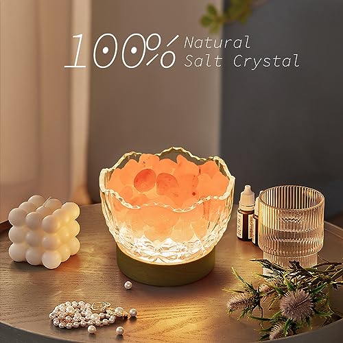 HSLZOMI Himalayan Salt Lamp, Pink, Wooden Base, 10 Levels of Light Intensity Adjustment, USB Plug, 1 Year Warranty