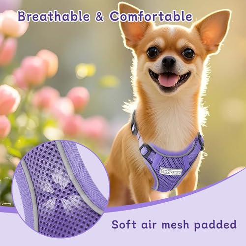 Ychpaw Small Dog Harness and Leash Set, Reflective Soft Breathable Mesh Vest, 3 Buckles, Adjustable Neck and Chest,Step in...